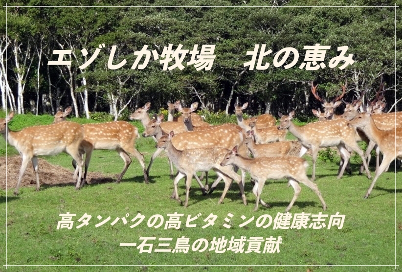 トップ画像